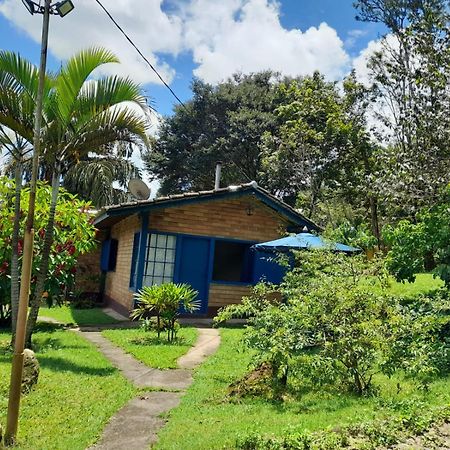 Pousada Balneario Cachoeira Do Moinho Belo Vale Экстерьер фото
