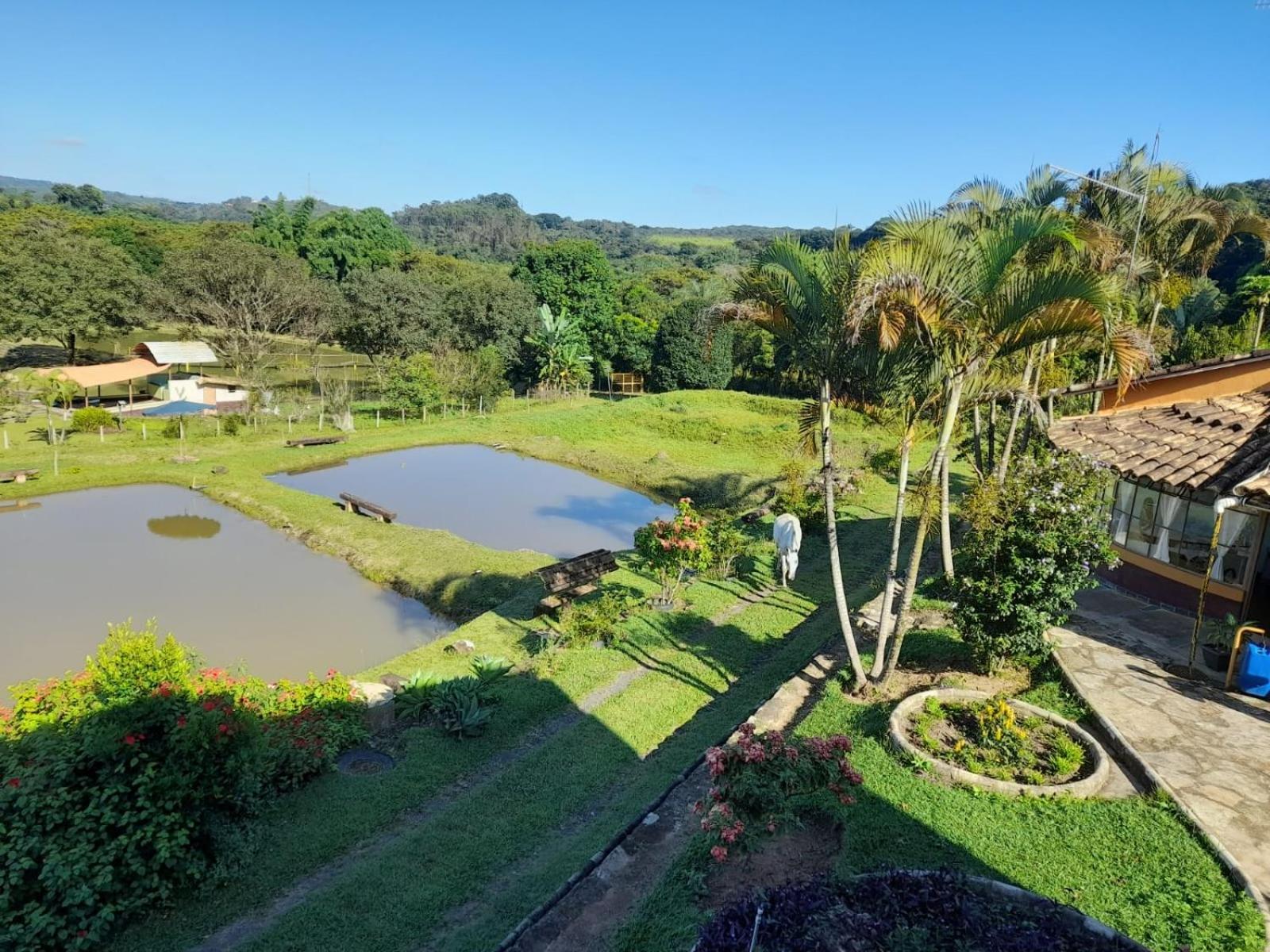 Pousada Balneario Cachoeira Do Moinho Belo Vale Экстерьер фото